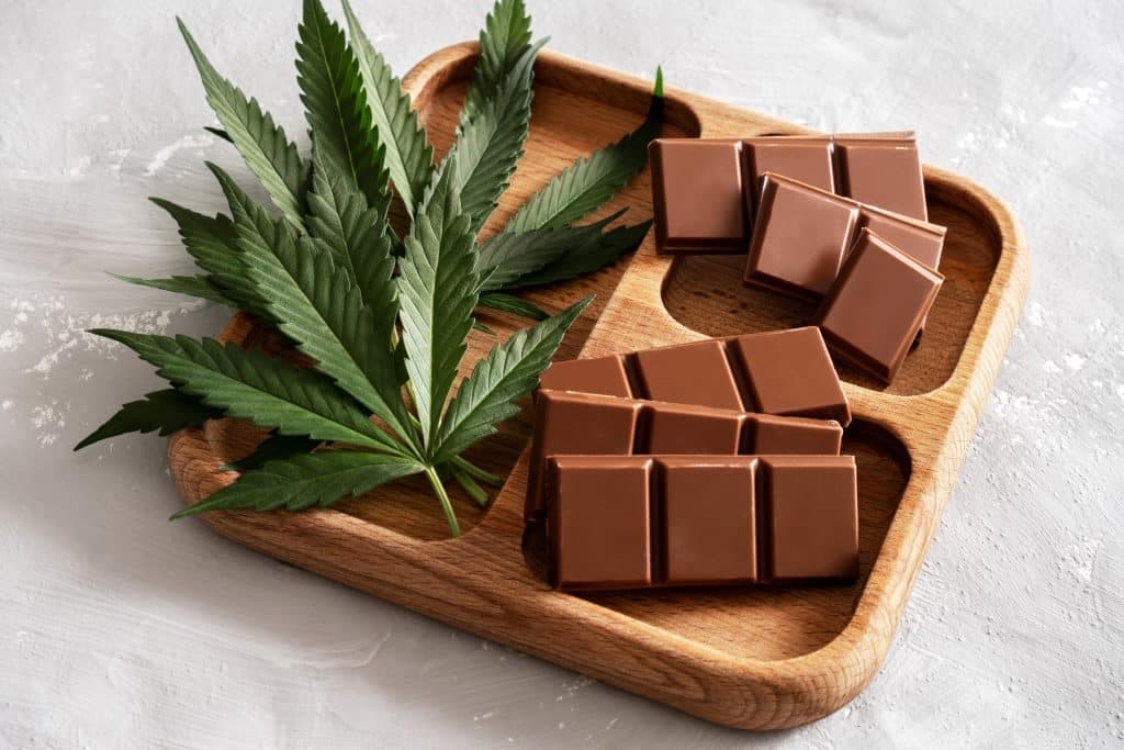 Cannabis club hamburg | Gemeinschaftlich &amp; transparent