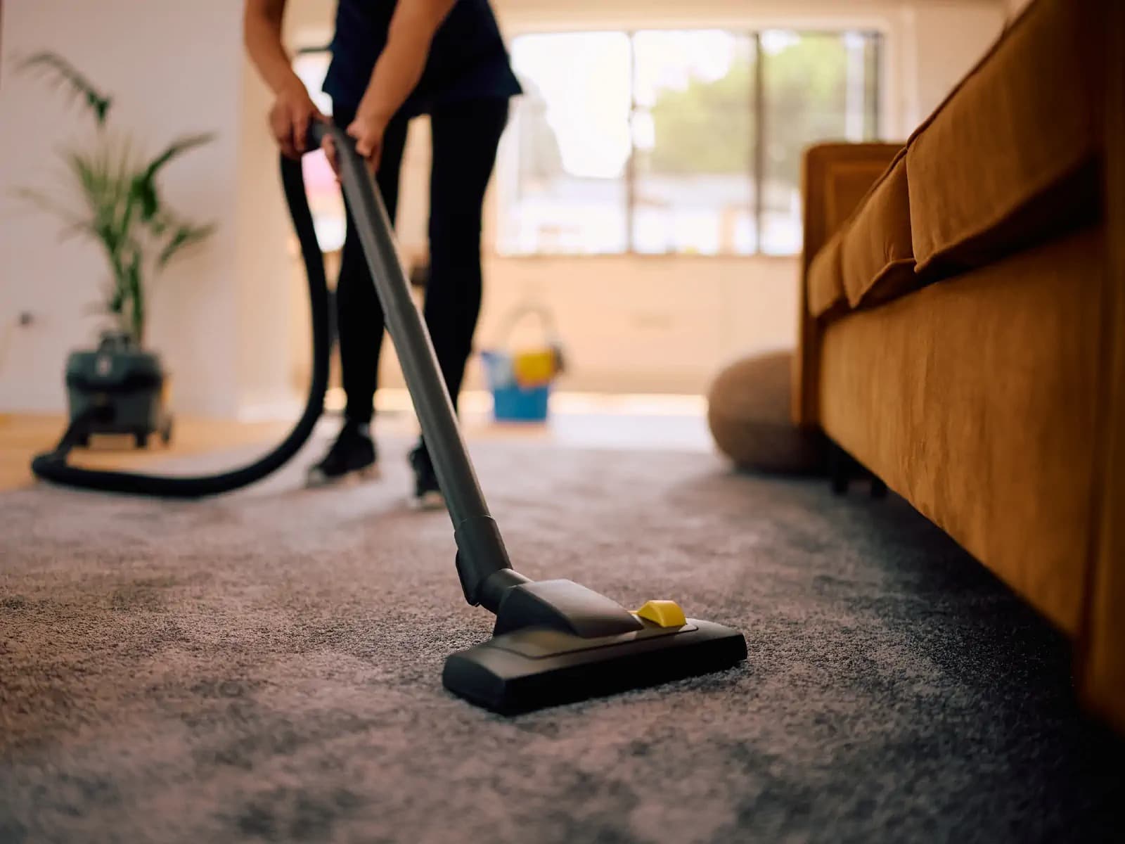 Carpet Cleaning Near Me – Trusted Local Experts | Guardian Carpet Cleaning