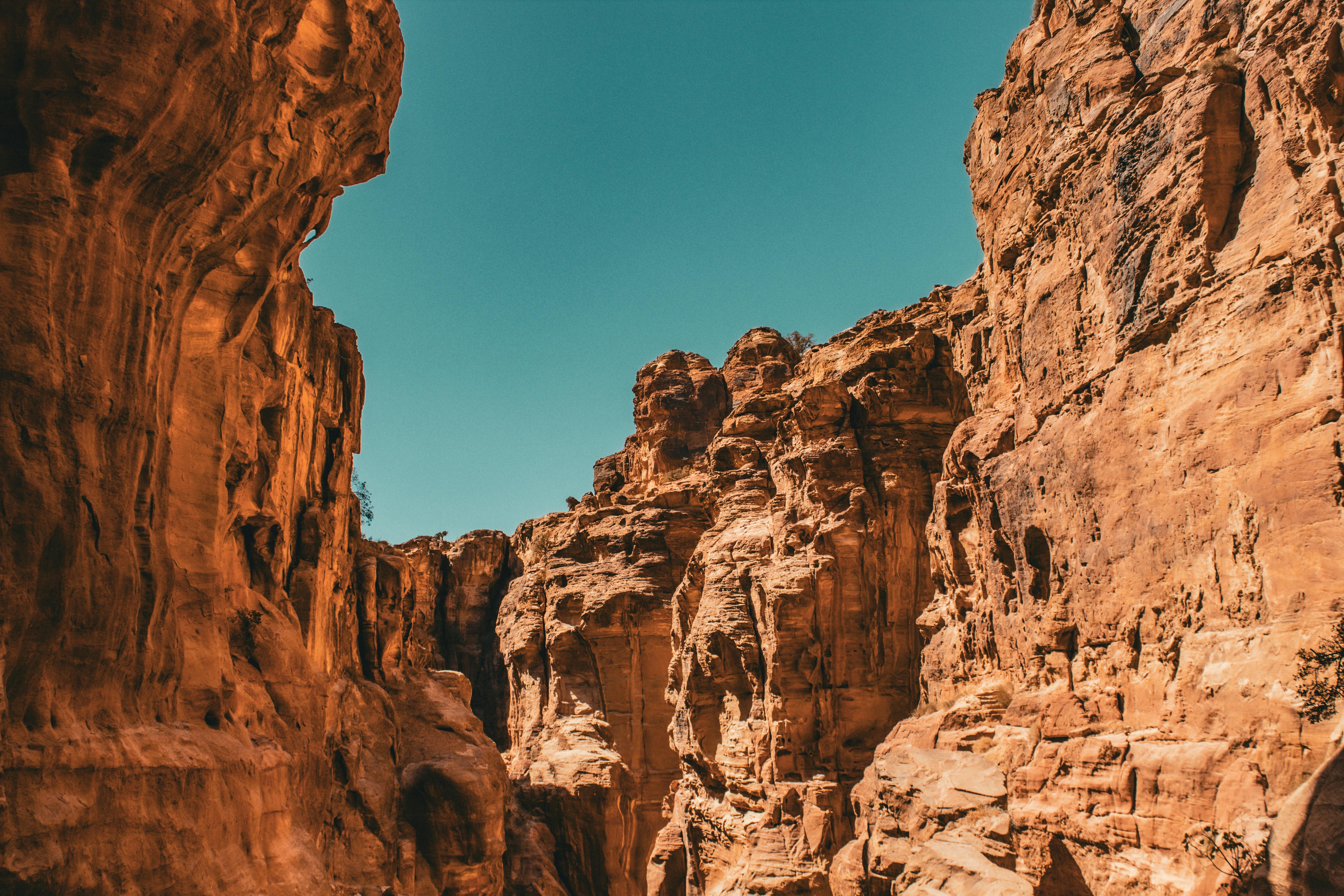 Explore Nature with Jordan Eco Tourism Tours