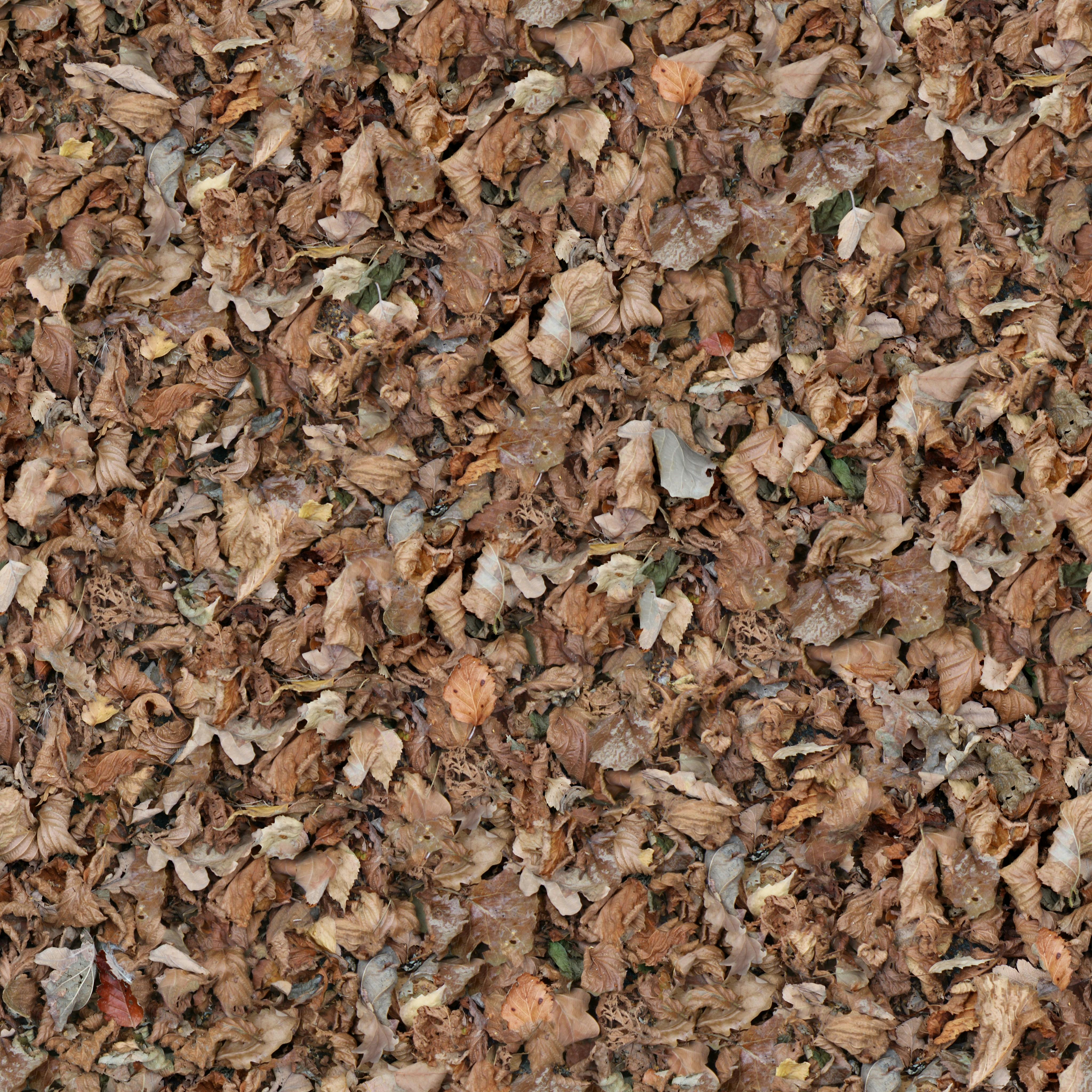 Wood Shavings Perfect for Bedding, Mulch, and Packaging