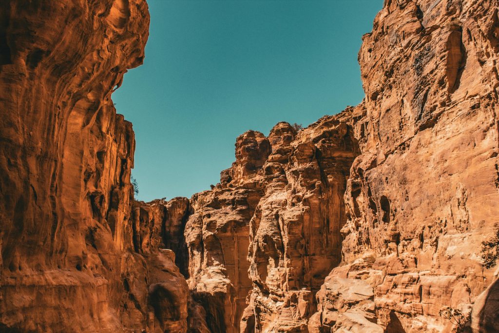 pexels-michmanness-34316970