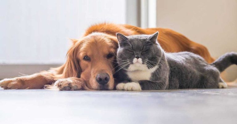 WhatsApp Image 2025-11-13 at 4.21.47 PM (14)