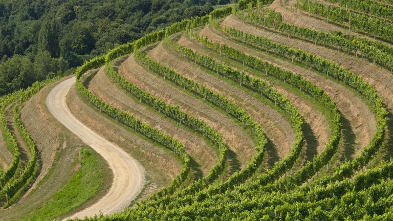 pexels-damir-mijailovic-1921088-28171764