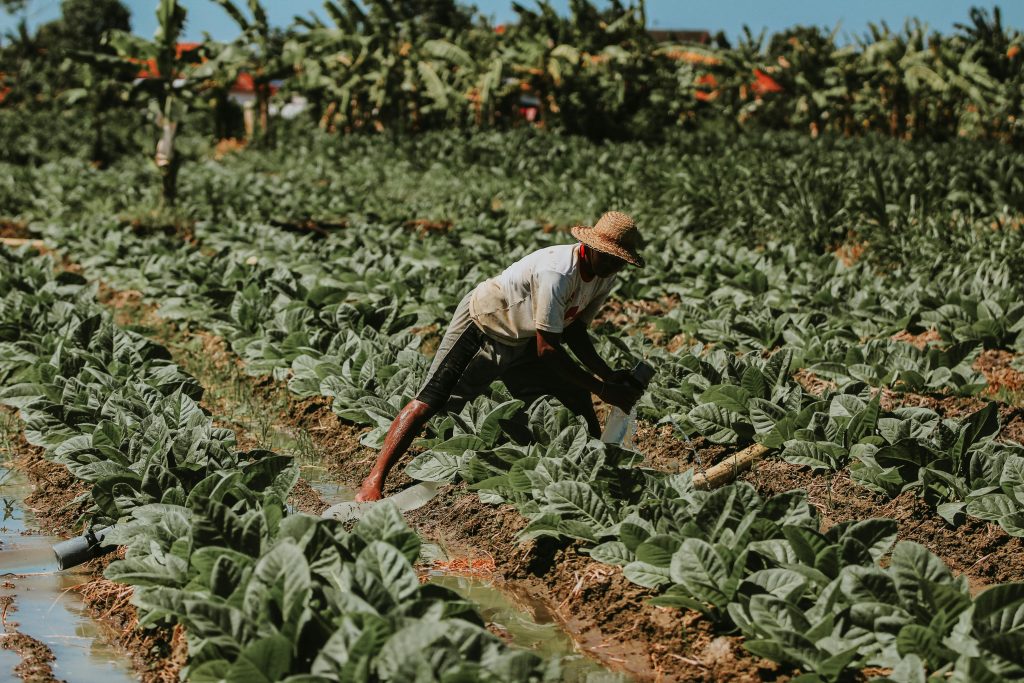 pexels-setengah-lima-sore-1061582751-30733227