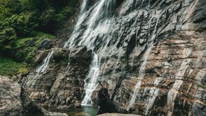 pexels-eren-32533134